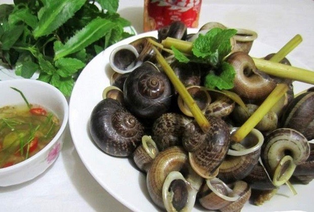 Ốc xu núi Bà Đen
